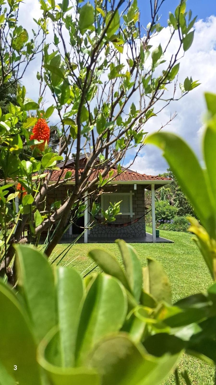 Canto Dos Passaros- Casa De Campo Em Гонсалвис Номер фото